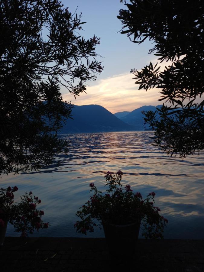 L'Oleandro Sul Lago D'Iseo B&B Сулцано Екстериор снимка