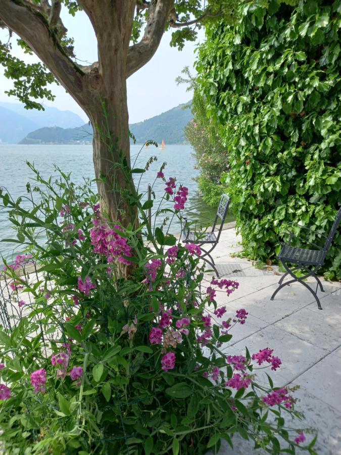 L'Oleandro Sul Lago D'Iseo B&B Сулцано Екстериор снимка