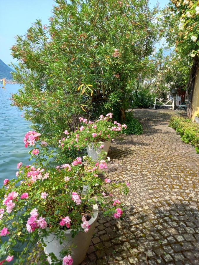 L'Oleandro Sul Lago D'Iseo B&B Сулцано Екстериор снимка