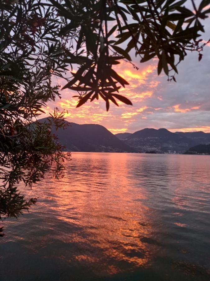 L'Oleandro Sul Lago D'Iseo B&B Сулцано Екстериор снимка