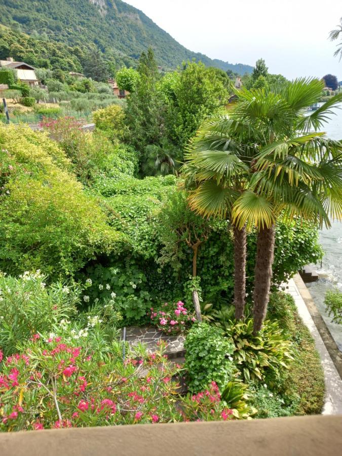 L'Oleandro Sul Lago D'Iseo B&B Сулцано Екстериор снимка