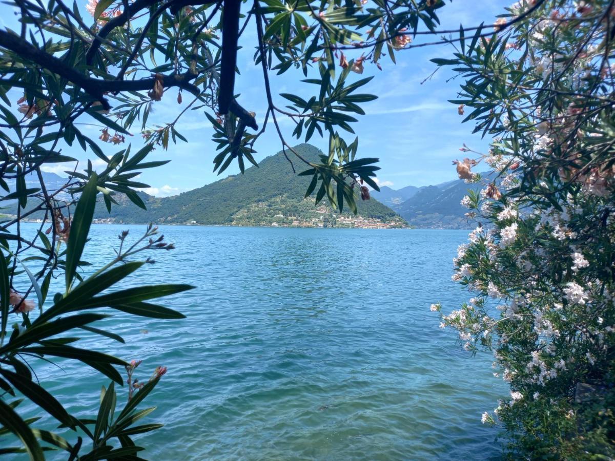 L'Oleandro Sul Lago D'Iseo B&B Сулцано Екстериор снимка