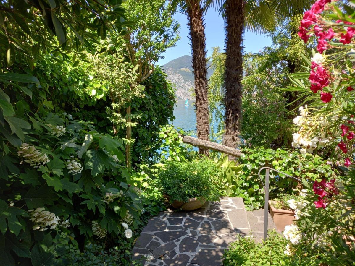 L'Oleandro Sul Lago D'Iseo B&B Сулцано Екстериор снимка