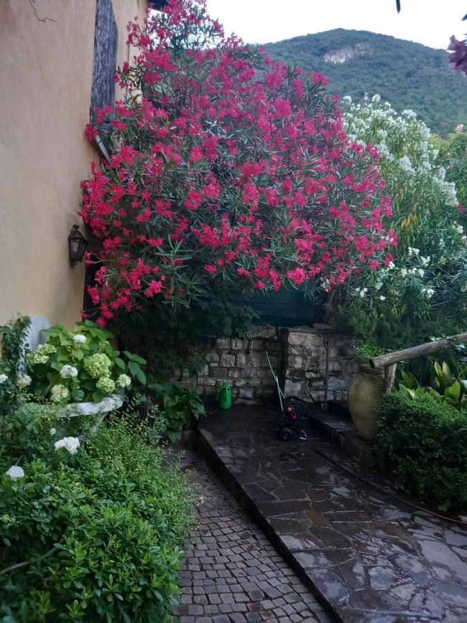 L'Oleandro Sul Lago D'Iseo B&B Сулцано Екстериор снимка